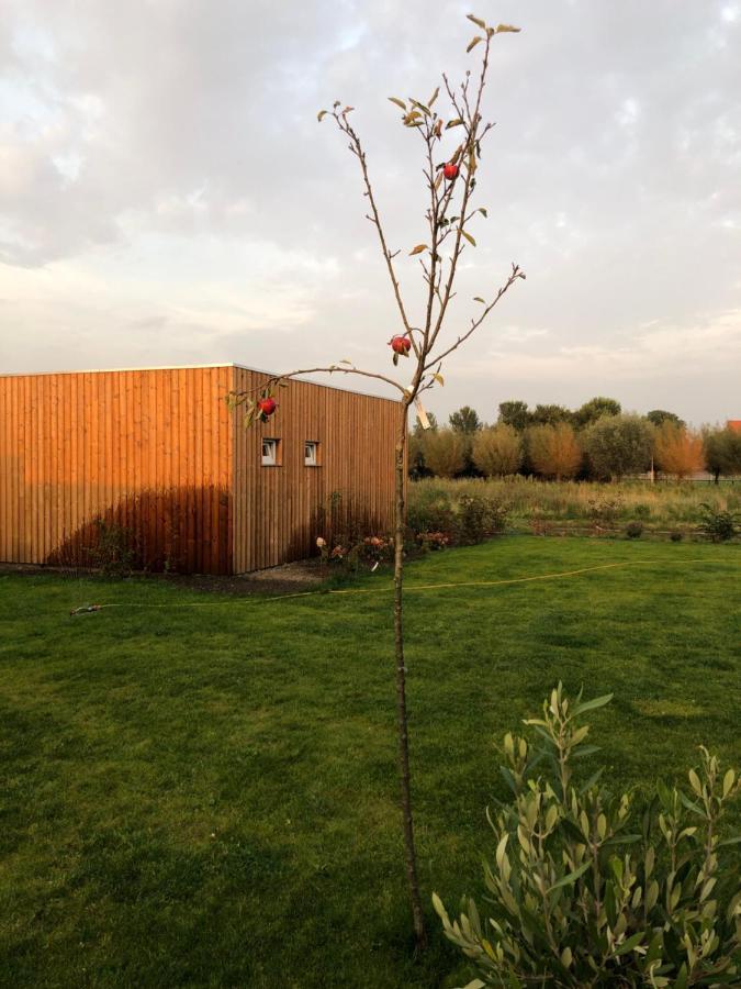 B&B Snurk Stiens, Fijn Verblijf Aan Open Vaarwater Exterior photo